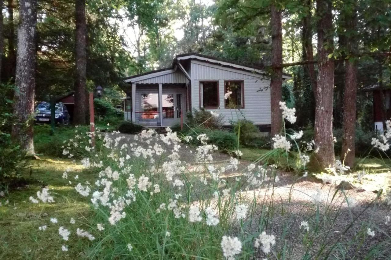 Chalet Siesta Is Rust & Natuur In Durbuy - Barvaux-Sur-Ourthe Exteriör bild